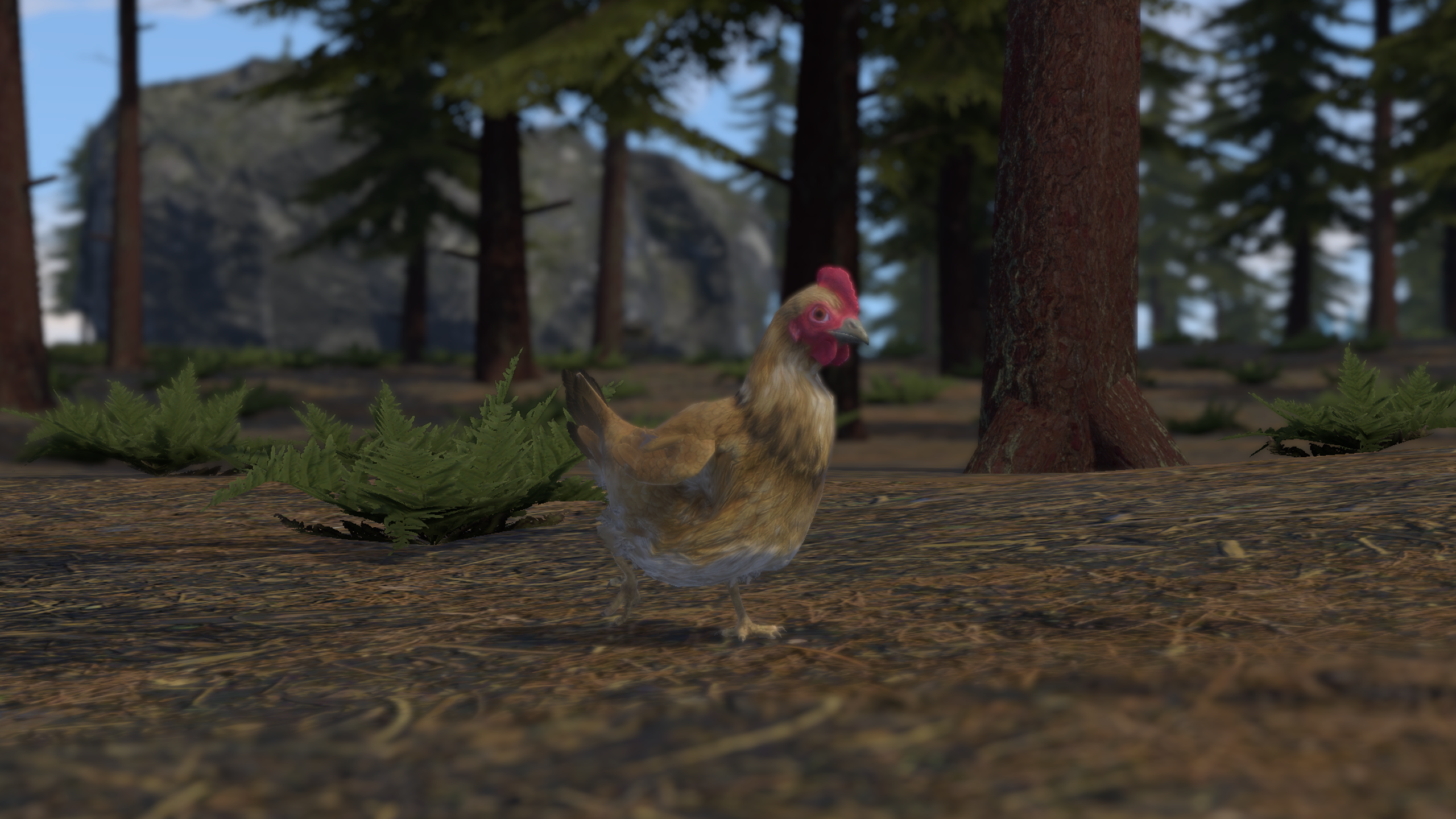 Wild Side Update 1