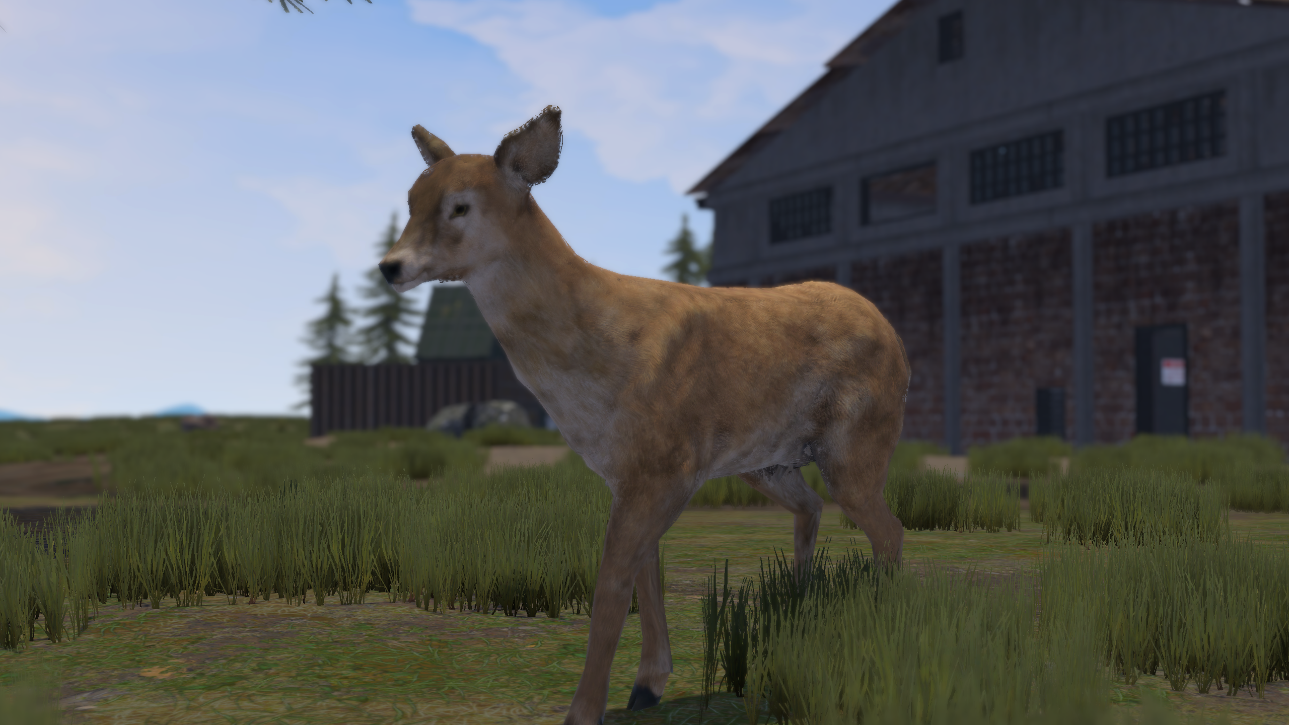 Wild Side Update 2