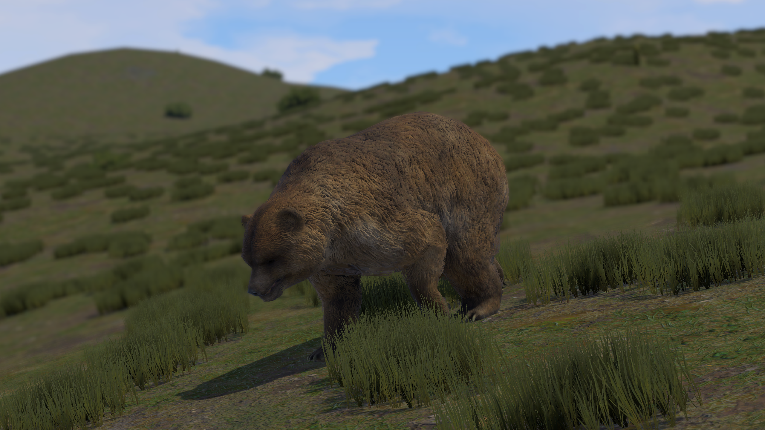 Wild Side Update 4
